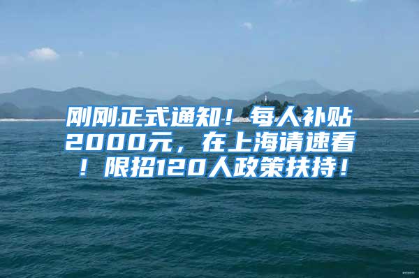 刚刚正式通知！每人补贴2000元，在上海请速看！限招120人政策扶持！