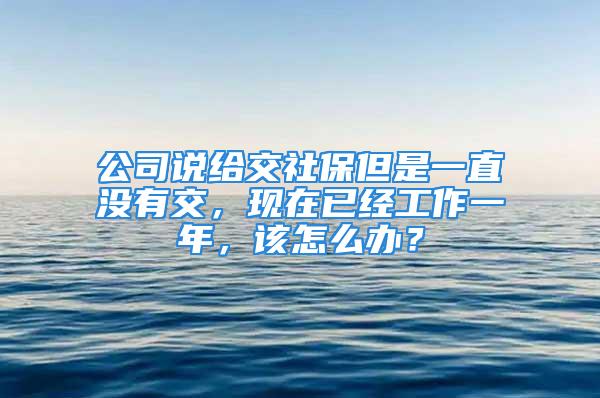 公司说给交社保但是一直没有交，现在已经工作一年，该怎么办？