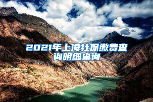 2021年上海社保缴费查询明细查询