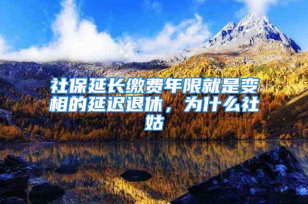 社保延长缴费年限就是变相的延迟退休，为什么社姑