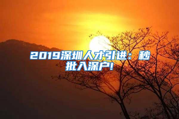 2019深圳人才引进：秒批入深户!