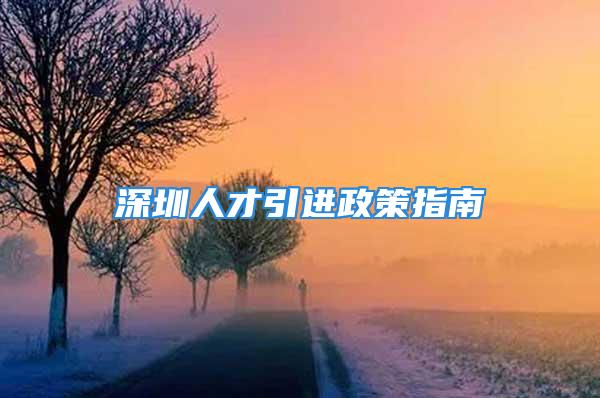 深圳人才引进政策指南