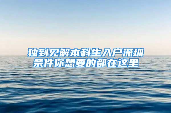 独到见解本科生入户深圳条件你想要的都在这里