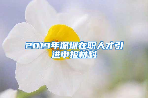 2019年深圳在职人才引进申报材料