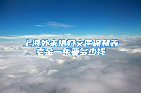 上海外来媳妇交医保和养老金一年要多少钱