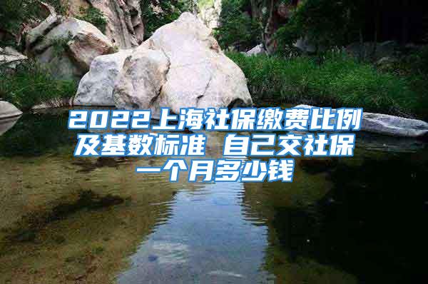 2022上海社保缴费比例及基数标准 自己交社保一个月多少钱