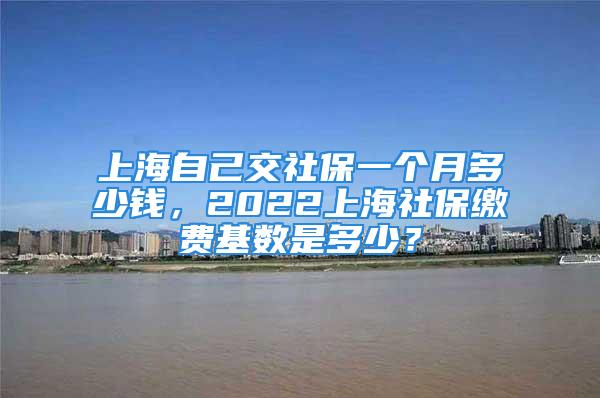 上海自己交社保一个月多少钱，2022上海社保缴费基数是多少？