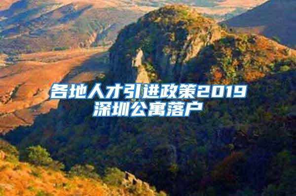 各地人才引进政策2019深圳公寓落户