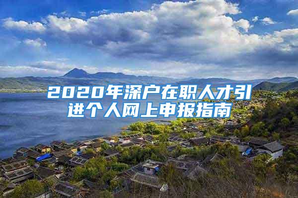 2020年深户在职人才引进个人网上申报指南