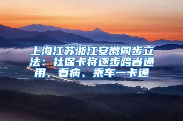 上海江苏浙江安徽同步立法：社保卡将逐步跨省通用，看病、乘车一卡通