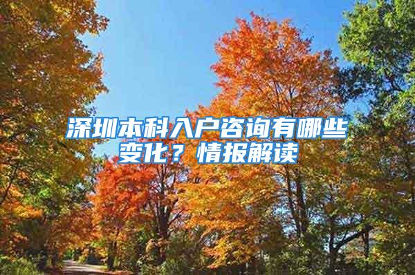 深圳本科入户咨询有哪些变化？情报解读