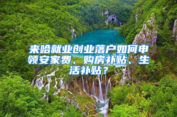 来哈就业创业落户如何申领安家费、购房补贴、生活补贴？