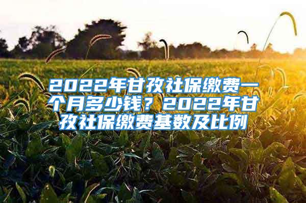 2022年甘孜社保缴费一个月多少钱？2022年甘孜社保缴费基数及比例