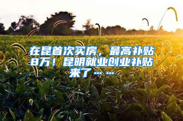 在昆首次买房，最高补贴8万！昆明就业创业补贴来了……