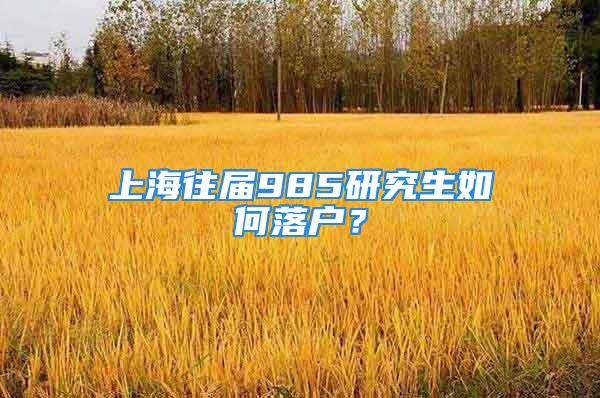 上海往届985研究生如何落户？