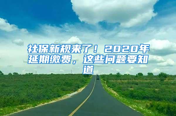 社保新规来了！2020年延期缴费，这些问题要知道