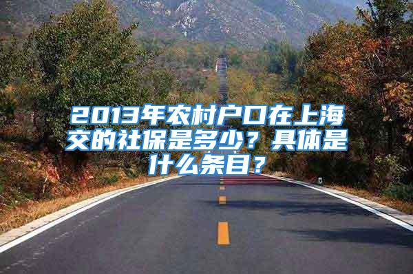 2013年农村户口在上海交的社保是多少？具体是什么条目？