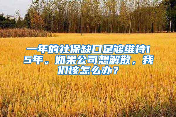 一年的社保缺口足够维持15年。如果公司想解散，我们该怎么办？