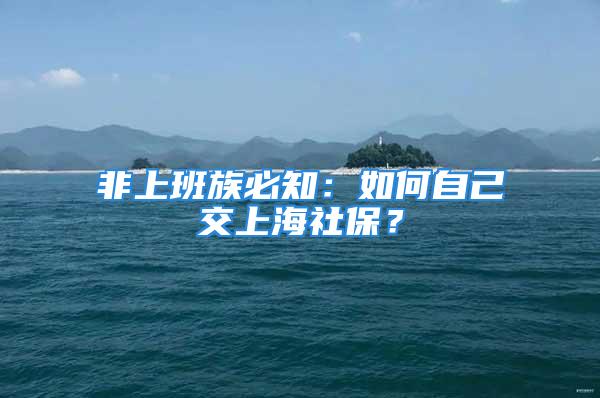 非上班族必知：如何自己交上海社保？