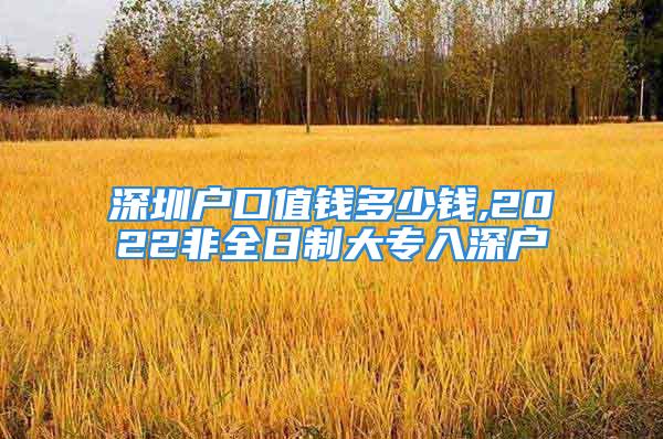 深圳户口值钱多少钱,2022非全日制大专入深户