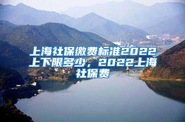 上海社保缴费标准2022上下限多少，2022上海社保费