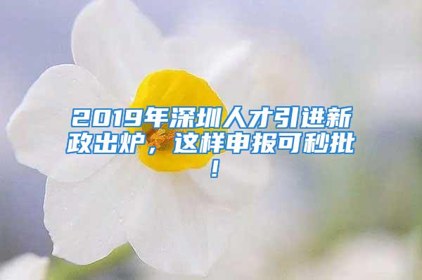 2019年深圳人才引进新政出炉，这样申报可秒批！