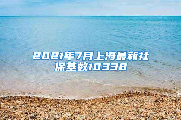 2021年7月上海最新社保基数10338