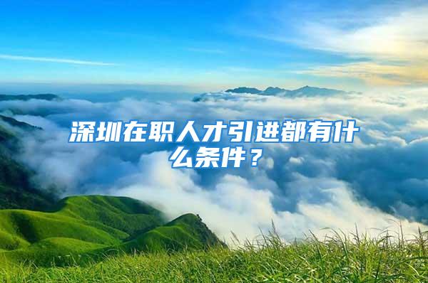 深圳在职人才引进都有什么条件？