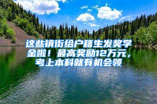 这些镇街给户籍生发奖学金啦！最高奖励12万元，考上本科就有机会领