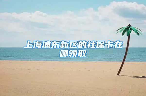 上海浦东新区的社保卡在哪领取