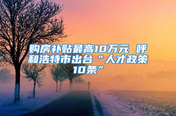 购房补贴最高10万元 呼和浩特市出台“人才政策10条”