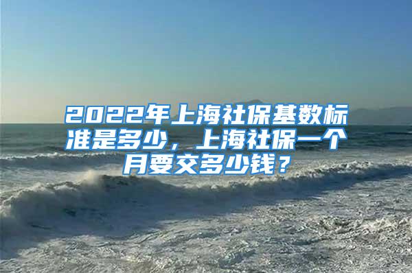 2022年上海社保基数标准是多少，上海社保一个月要交多少钱？