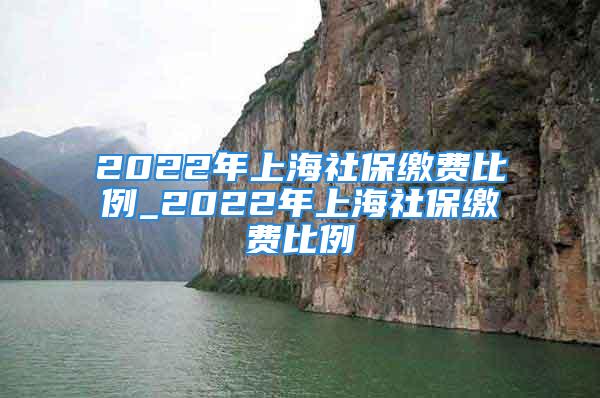 2022年上海社保缴费比例_2022年上海社保缴费比例