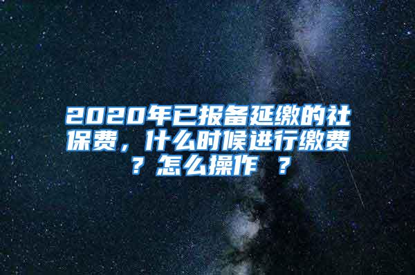 2020年已报备延缴的社保费，什么时候进行缴费？怎么操作 ？