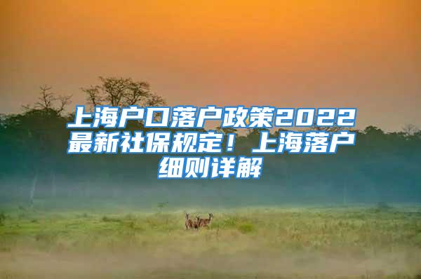 上海户口落户政策2022最新社保规定！上海落户细则详解