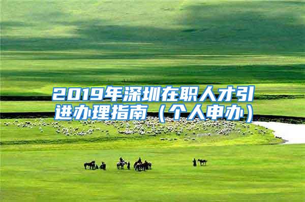 2019年深圳在职人才引进办理指南（个人申办）