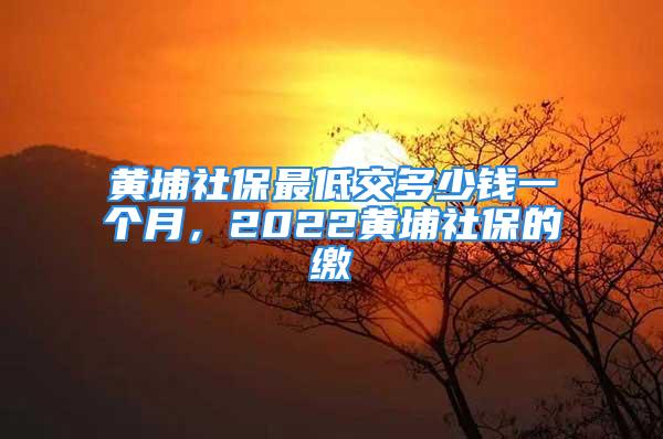 黄埔社保最低交多少钱一个月，2022黄埔社保的缴