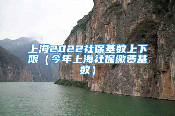 上海2022社保基数上下限（今年上海社保缴费基数）