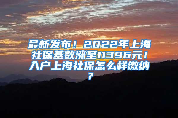 最新发布！2022年上海社保基数涨至11396元！入户上海社保怎么样缴纳？