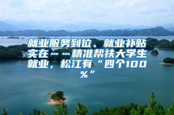 就业服务到位、就业补贴实在……精准帮扶大学生就业，松江有“四个100%”