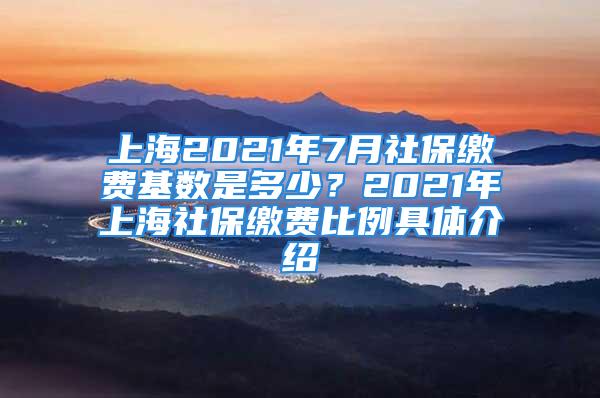 上海2021年7月社保缴费基数是多少？2021年上海社保缴费比例具体介绍