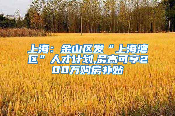 上海：金山区发“上海湾区”人才计划,最高可享200万购房补贴