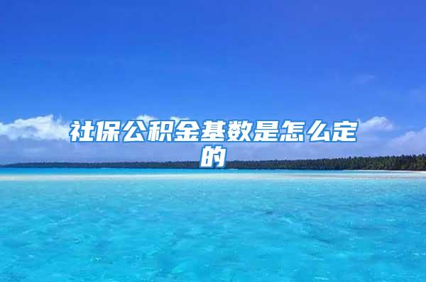 社保公积金基数是怎么定的