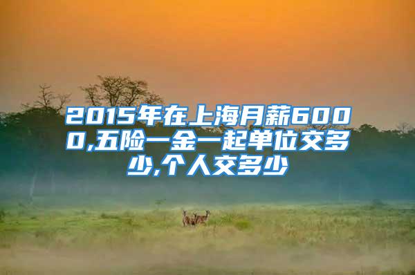 2015年在上海月薪6000,五险一金一起单位交多少,个人交多少