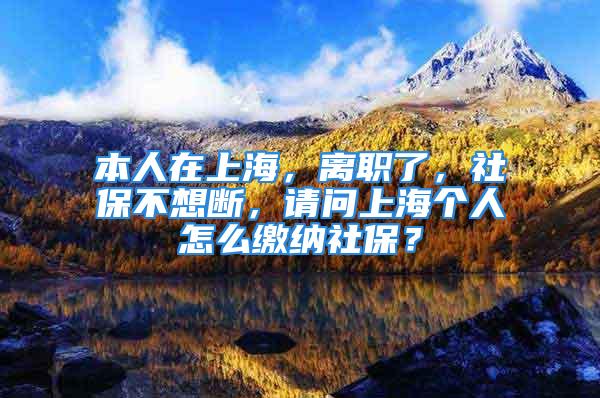 本人在上海，离职了，社保不想断，请问上海个人怎么缴纳社保？