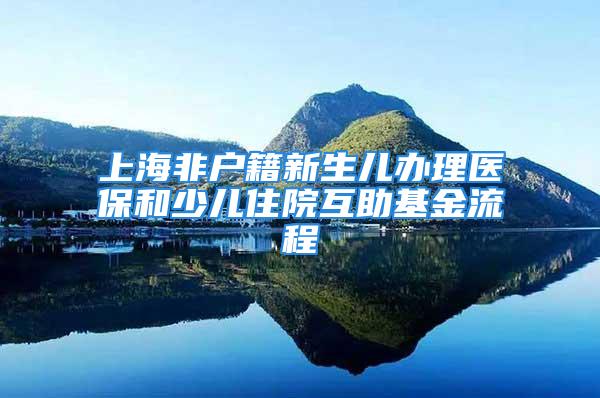 上海非户籍新生儿办理医保和少儿住院互助基金流程