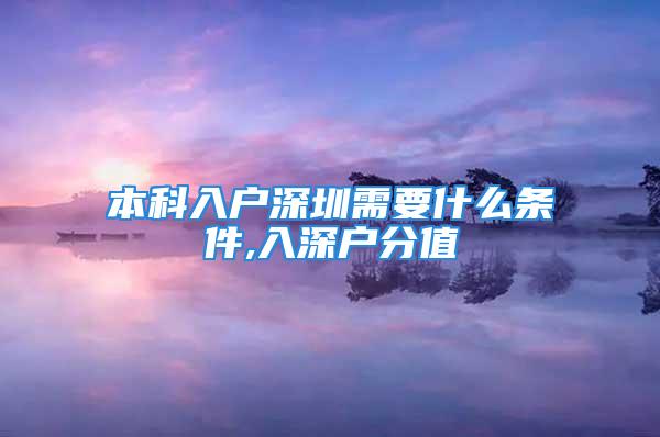 本科入户深圳需要什么条件,入深户分值