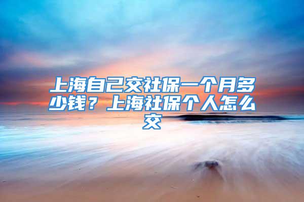 上海自己交社保一个月多少钱？上海社保个人怎么交