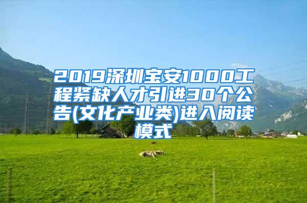 2019深圳宝安1000工程紧缺人才引进30个公告(文化产业类)进入阅读模式