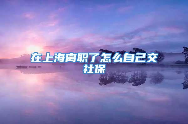 在上海离职了怎么自己交社保